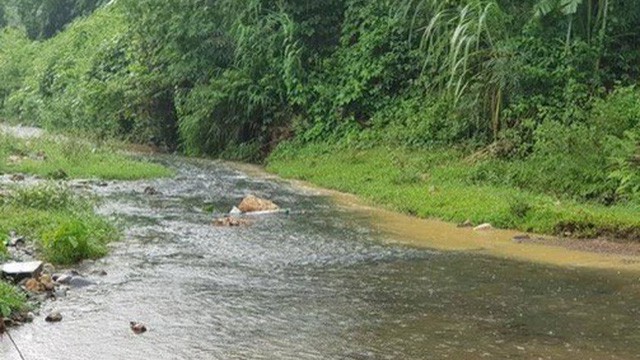 Hà Nội sẽ xử lý nghiêm người đổ dầu phế thải và làm rõ trách nhiệm của Viwasupco - Ảnh 2.