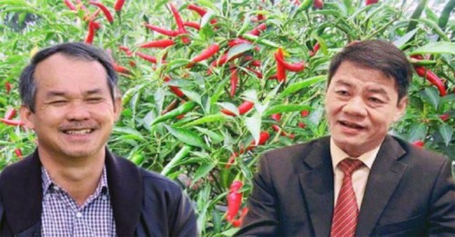 Thaco đã “rót” bao nhiêu tiền vào Nông nghiệp Quốc tế Hoàng Anh Gia Lai? - Ảnh 1.