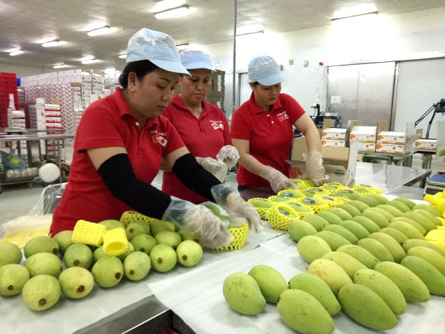 Làm thế nào để nông sản Việt tận dụng lợi ích các FTA, tiếp cận thị trường thế giới? - Ảnh 2.