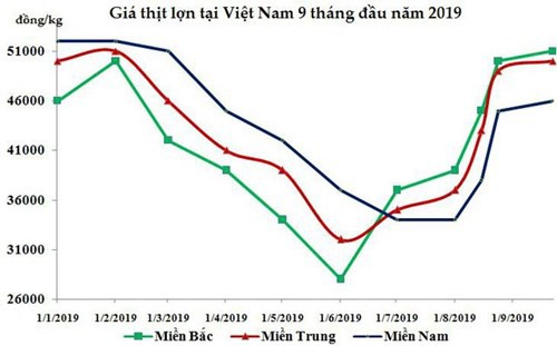 Sức nóng của thị trường thịt lợn sẽ kéo dài tới 2020 - Ảnh 1.