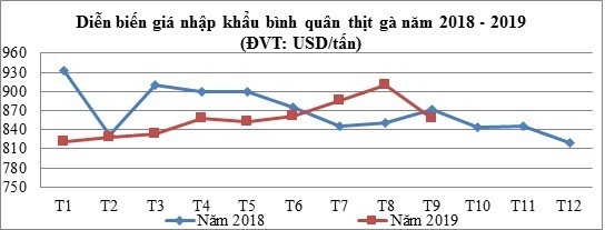  Giá gà giảm sâu, thủ phạm có phải thịt gà nhập khẩu? - Ảnh 2.