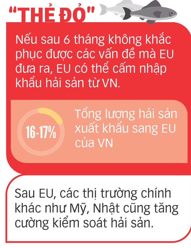 Ý thức ngư dân quyết định gỡ &quot;thẻ vàng&quot; hay thêm &quot;thẻ đỏ&quot;  - Ảnh 3.