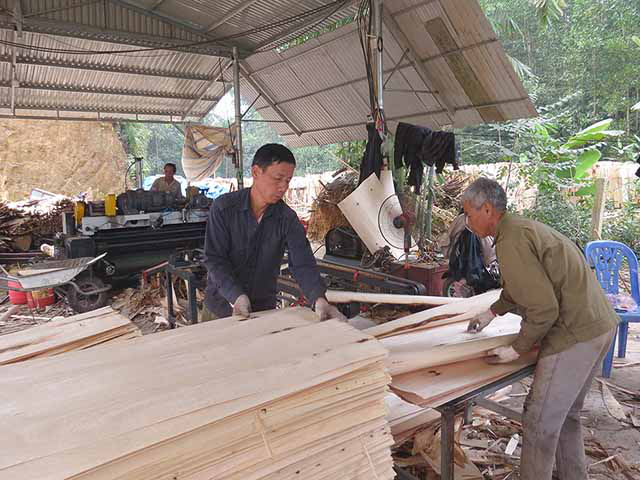 Kim ngạch xuất khẩu tăng phi mã, gỗ dán Việt liên tục bị điều tra xuất xứ - Ảnh 1.