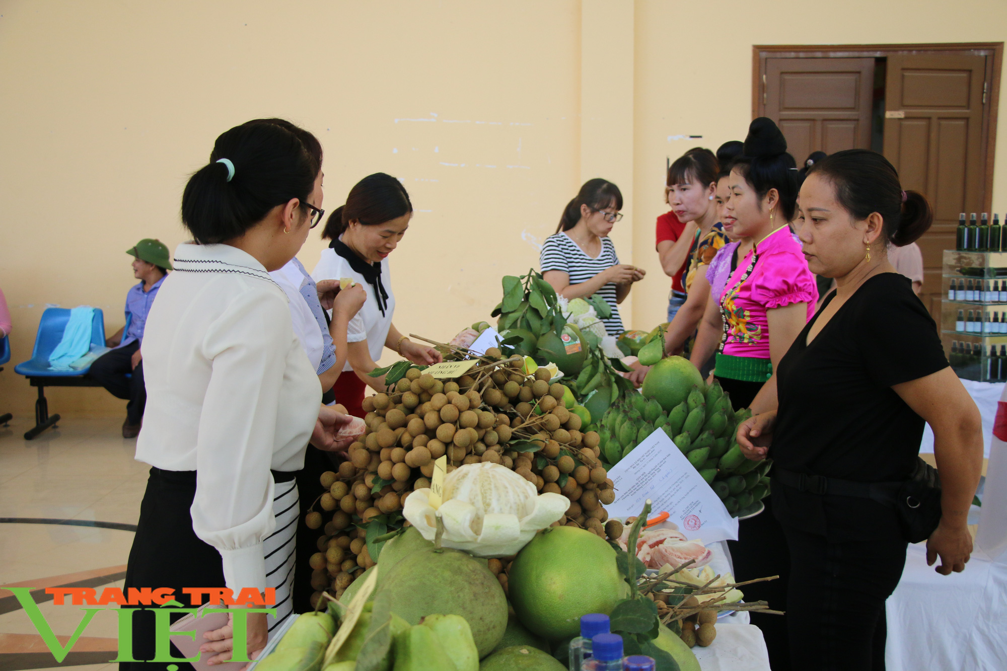 Mường La chú trong tiêu chí thu nhập trong xây dựng nông thôn mới - Ảnh 1.