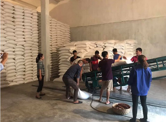Cấp hơn 300 tấn gạo hỗ trợ học sinh vùng đặc biệt khó khăn ở Quảng Ninh  - Ảnh 1.