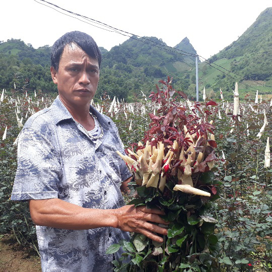 Bước tiến trong sản xuất nông nghiệp ở thành phố Lai Châu - Ảnh 1.