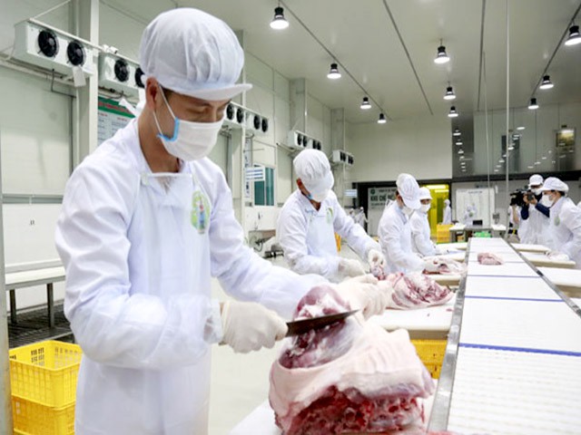 Tết Canh Tý 2020, nguồn cung hàng hóa dồi dào nhưng vẫn lo thiếu thịt lợn - Ảnh 2.