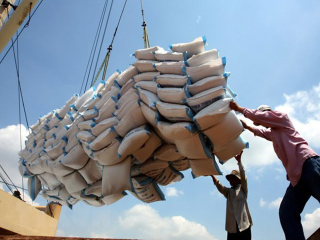 Giá xuống mức thấp nhất sau 12 năm, gạo Việt gian nan đường xuất khẩu - Ảnh 1.