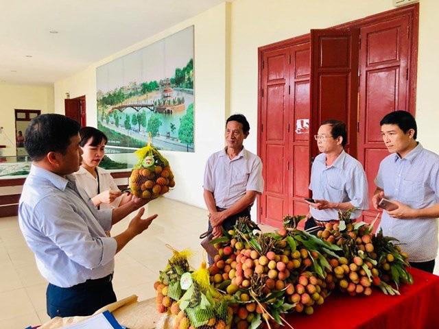 Quảng Ninh có 3 cơ sở đóng gói đủ điều kiện xuất khẩu nông sản sang Trung Quốc  - Ảnh 2.