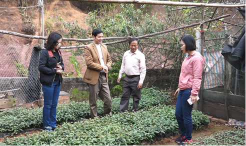 Nghiên cứu phát triển, nâng cao giá trị kinh tế cây Đào chuông xứ Lạng  - Ảnh 2.