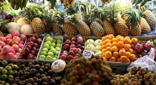 Thiếu chuỗi giá trị, trái cây nhiệt đới Việt Nam còn khó xuất khẩu - Ảnh 1.