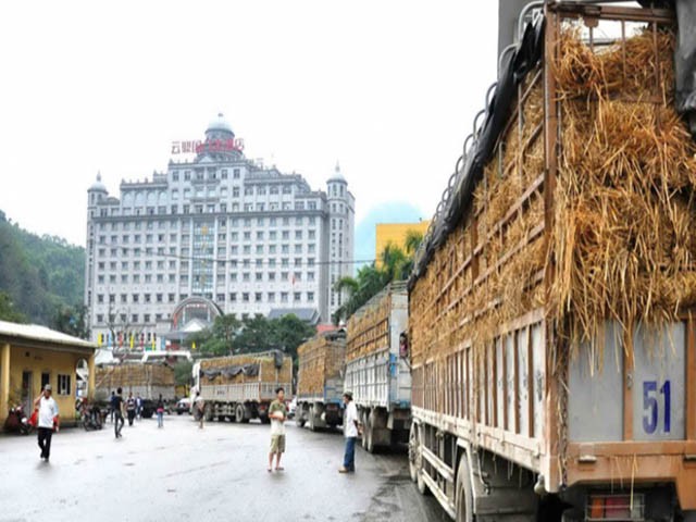 Không thay đổi tư duy &quot;tiểu ngạch&quot; nông sản Việt khó tiếp cận EVFTA - Ảnh 1.