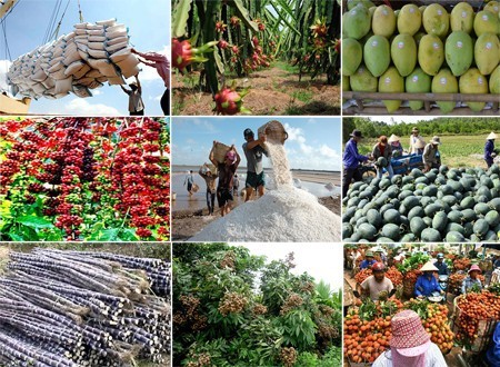 Giá nông sản tiếp tục giảm sâu, xuất khẩu nông, lâm, thủy sản ngay lập tức “lao dốc” - Ảnh 2.
