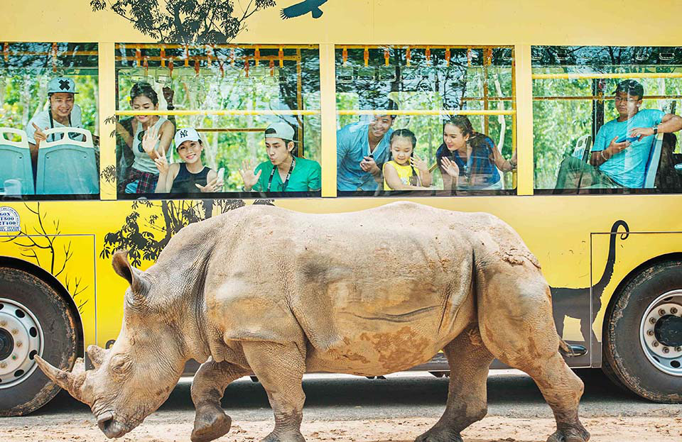 Mê mẩn ngắm sư tử con, hổ... và những góc ảnh dễ thương tại vườn thú bán hoang dã Phú Quốc - Ảnh 10.