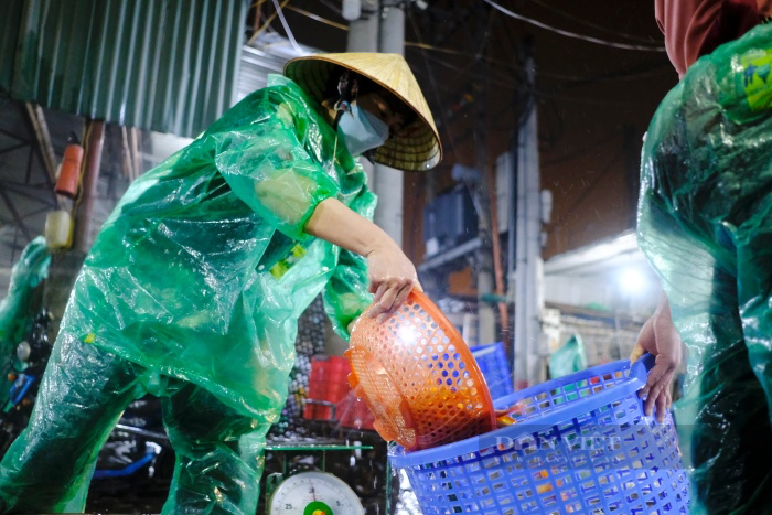 Chợ cá lớn nhất Hà Nội nhộn nhịp trước ngày ông Công ông Táo, khách vắng hơn mọi năm nhưng được giá - Ảnh 3.