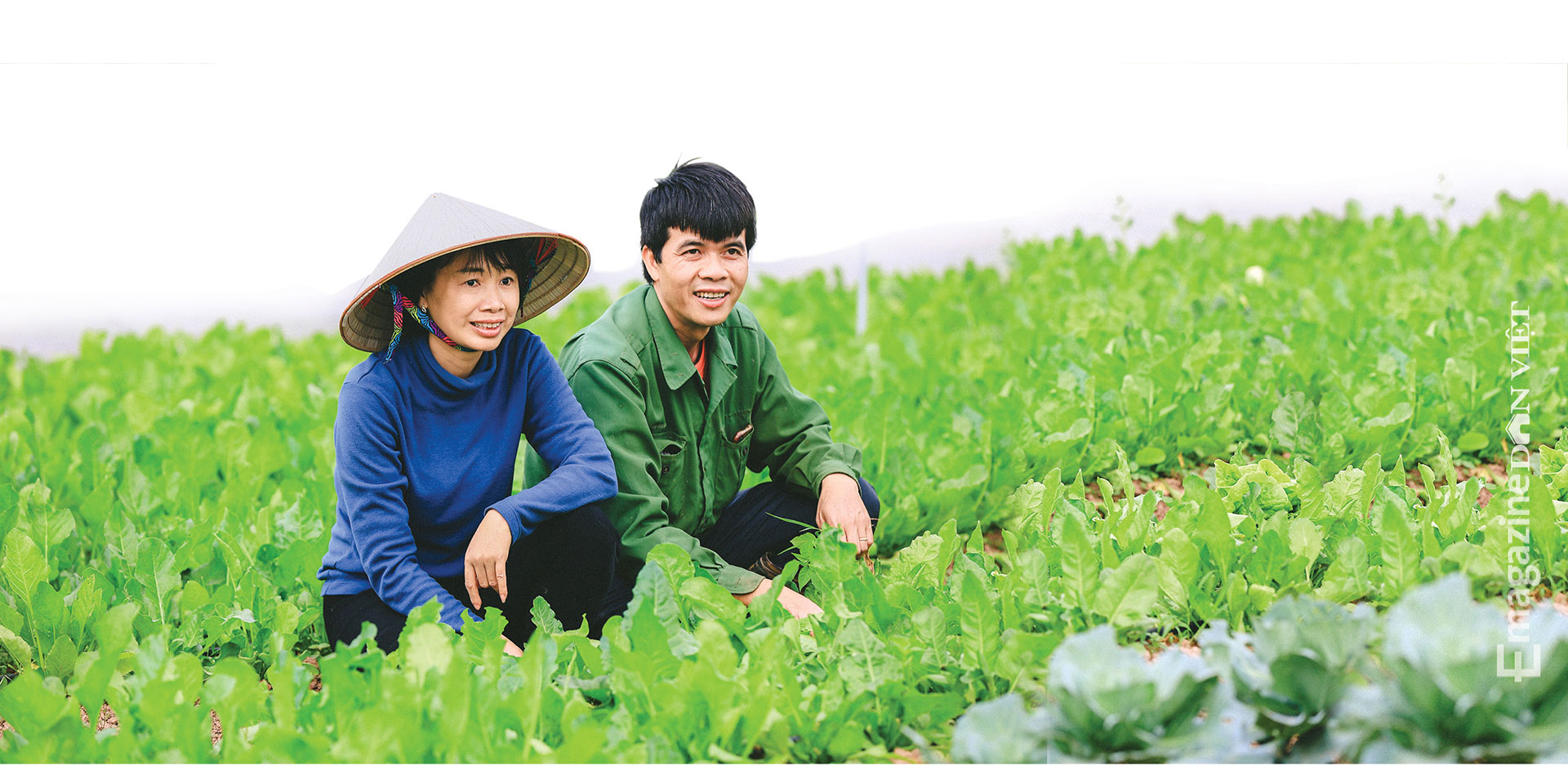 Con đường gian nan của tiến sĩ du học bên Nhật bỏ việc về làm nông dân, trồng rau sạch - Ảnh 10.