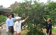 Những thôn làng của một huyện ở Quảng Nam trở thành miền quê đáng sống