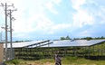 4 dự án điện mặt trời chồng lấn hệ thống thủy lợi Tân Mỹ ở Ninh Thuận bị sai phạm 