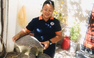 Bình Thuận: &quot;Nàng Lưu Yến Phi&quot; đảo Hòn Cau nín thở hồi hộp, vỡ òa hạnh phúc khi thấy con rùa biển làm điều này