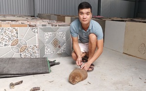 Tỷ phú nuôi chuột ăn tre ở đất Hà Nội là một nông dân 9X bỏ phố về quê