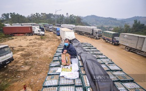 Làm luật xe hàng nông sản ở Lạng Sơn, nhóm đối tượng đối mặt khung hình phạt bao nhiêu năm tù?