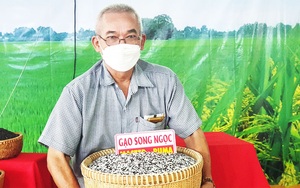 Là cường quốc xuất khẩu nhưng Việt Nam vẫn thiếu vắng sản phẩm chế biến sâu từ gạo