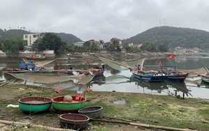 Cảnh tượng chưa từng có: Đúng vụ cá nhưng tàu thuyền vẫn đậu kín một cảng cá ở Nghệ An vì lý do này 