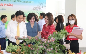 Mở gian hàng số cho nông dân tại Festival trái cây - sản phẩm OCOP Việt Nam