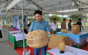 Festival trái cây và sản phẩm OCOP Việt Nam năm 2022 trước "giờ G": Những sản phẩm đầu tiên "hé lộ"