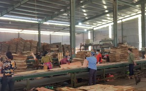 Chuyên gia Trung Quốc lưu ý doanh nghiệp Việt Nam 8 điểm khi xuất khẩu gỗ sang Trung Quốc