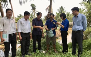 Nguồn Quỹ Hỗ trợ nông dân cấp huyện chiếm tỷ trọng lớn nhất tại Quỹ này của tỉnh Kiên Giang