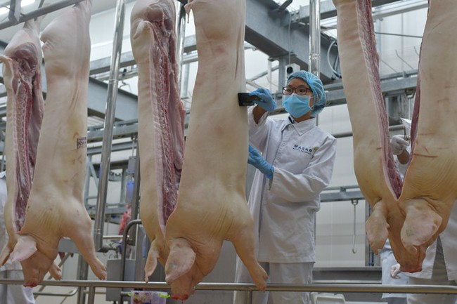 Nổi trội chất lượng trong bão dịch tả lợn Châu Phi, thịt mát MEATDeli sẽ chiếm 30-50% thị phần Hà Nội vào dịp Tết 2020? - Ảnh 3.