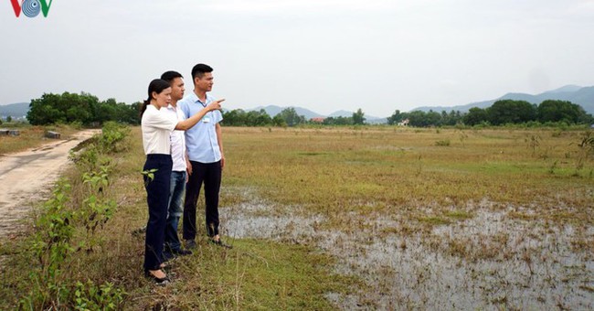 Giá đất giáp ranh TP. Hạ Long tăng “nóng” sau tin sáp nhập - Ảnh 1.