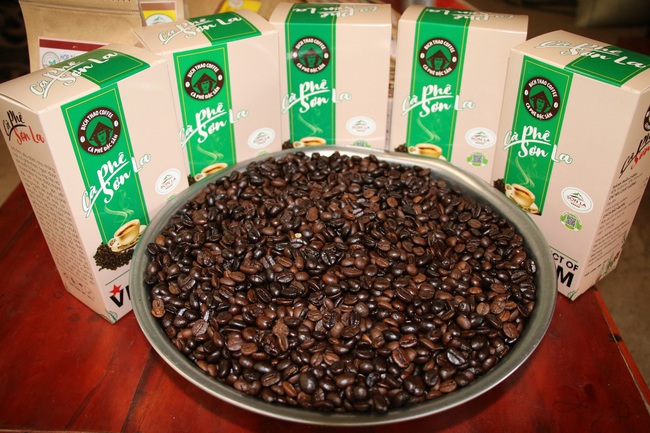 Nâng cao thương hiệu nông sản Sơn La từ sản phẩm cà phê - Ảnh 3.