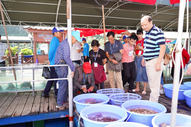 Đại Yên Plaza - Điểm hẹn du lịch không thể bỏ qua khi tới Hạ Long - Ảnh 7.