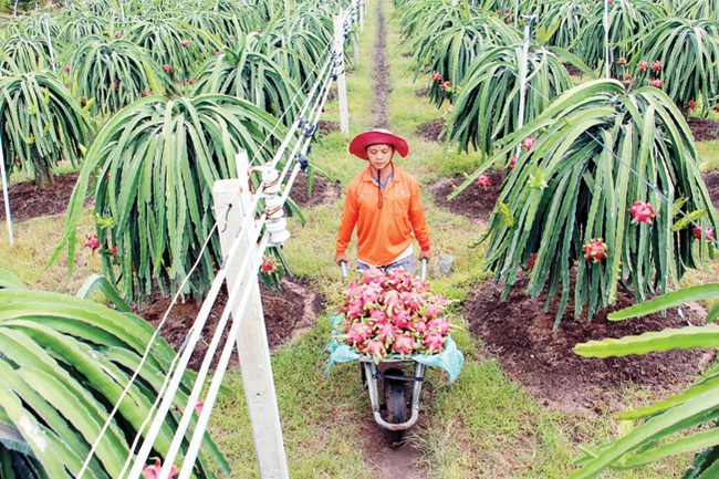 Tắc đường bộ, đi đường biển - Ảnh 1.