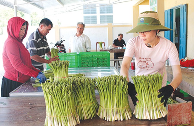 Điểm sáng nông thôn mới Ninh Phước - Ảnh 2.