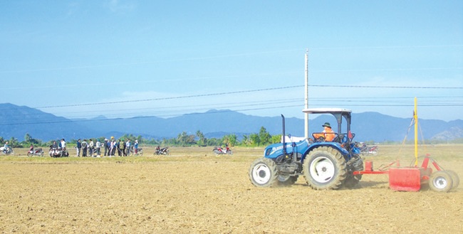 Điểm sáng nông thôn mới Ninh Phước - Ảnh 3.