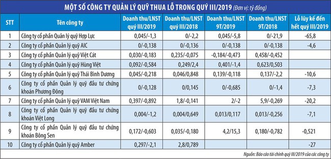 VN-Index tăng, nhiều công ty quản lý quỹ vẫn lỗ - Ảnh 2.