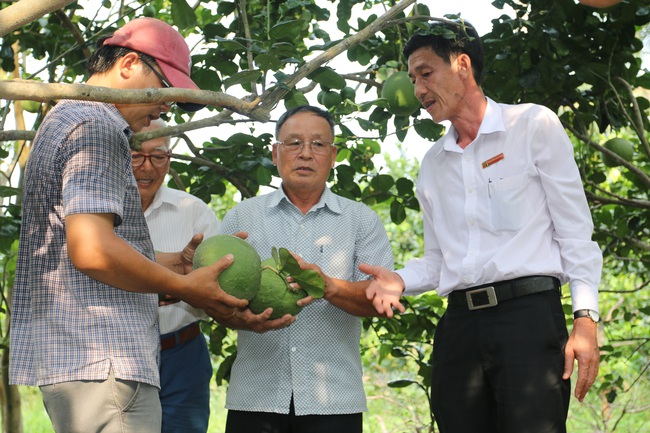 Agribank Bến Tre với mô hình 3N - Ảnh 2.