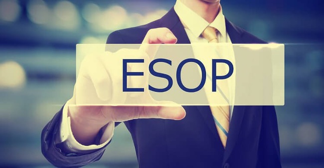 Nhà đầu tư dao động khi doanh nghiệp tăng phát hành ESOP - Ảnh 1.