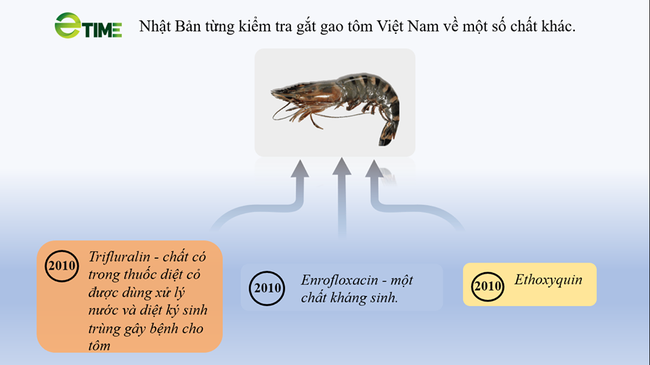 Nguy cơ thủy sản không được vào EU - Ảnh 3.