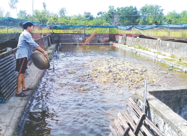 Bình Định Nam &quot;thay áo mới&quot; - Ảnh 3.