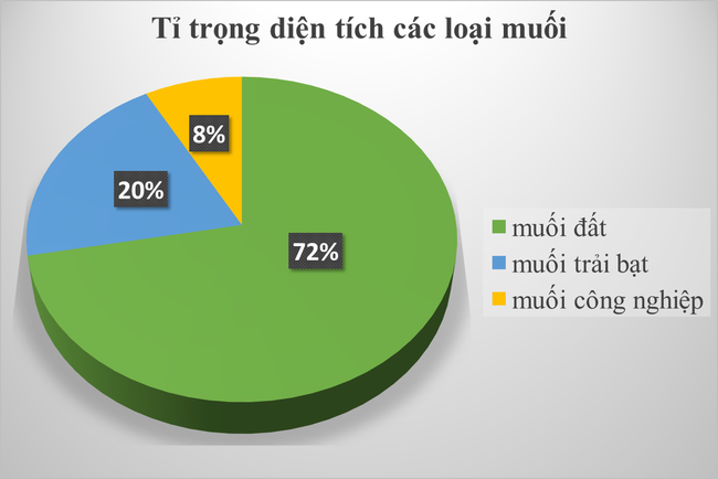 Diêm dân chán nghề vì muối lại “mất giá, được mùa” - Ảnh 2.