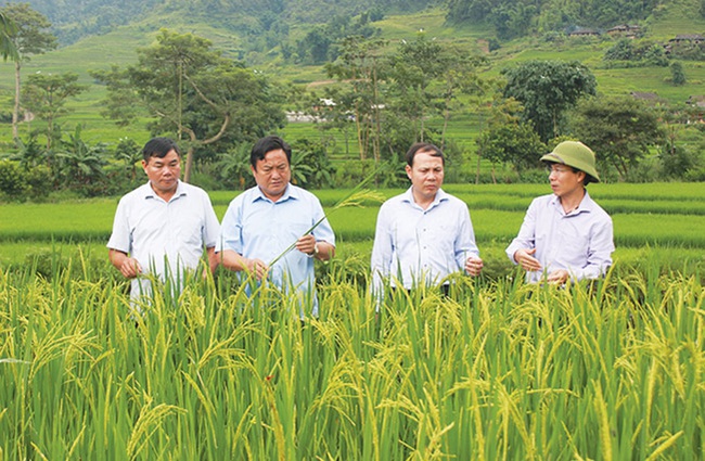 Xã vùng cao Yên Bái &quot;thay da đổi thịt&quot; từ xây dựng nông thôn mới - Ảnh 1.