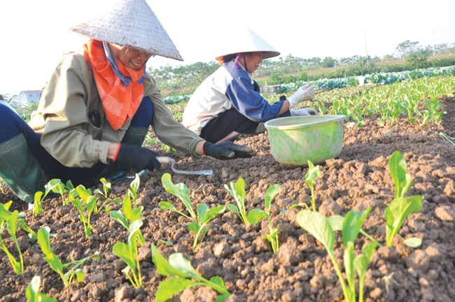 Lập Thạch &quot;băng băng&quot; về đích nông thôn mới - Ảnh 1.