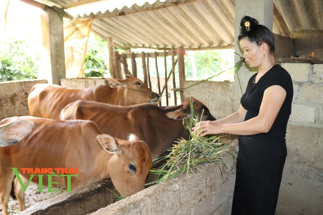 Đẩy mạnh các hoạt động tư vấn, hỗ trợ, dịch vụ cho nông dân Sơn La - Ảnh 2.