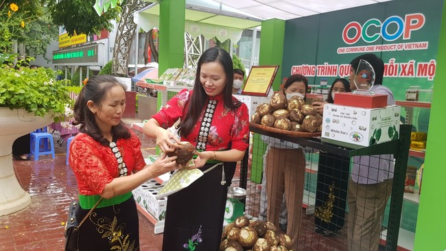 44 điểm cầu trong nước và quốc tế theo dõi Festival  trái cây - sản phẩm OCOP tổ chức tại Sơn La - Ảnh 1.