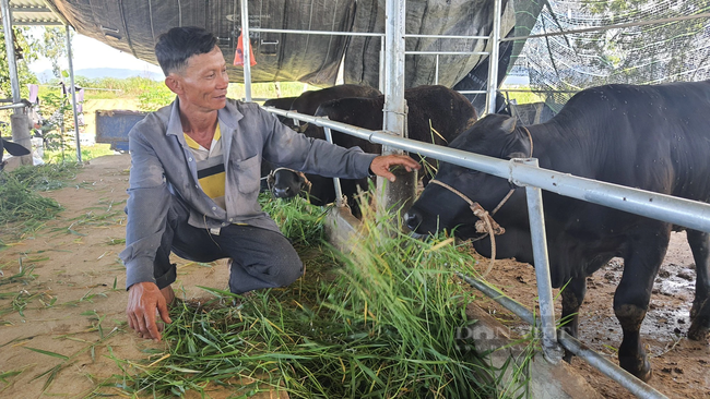 Quảng Nam: Điện Bàn nỗ lực đào tạo, hỗ trợ giải quyết việc làm cho lao động địa phương - Ảnh 8.