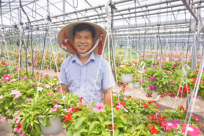 Chia sẻ của nông dân Đà Nẵng về thành công của Đại hội toàn quốc Hội Nông dân Việt Nam lần thứ VIII - Ảnh 1.